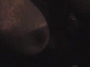 Asian MILF With Big Tits Driving Topless in Car 3/16