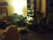 Rubbing on these big ass juicy titties wanting u to suck on them 15/16