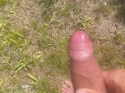 Get a Load of This ;) 11/16