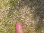 Get a Load of This ;) 15/16