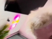 skinny white blonde with big ass himself with spanking - Kyle Stroker 16/16