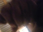 Cum_Eclipse - Screenshot 9 of 16 - Cumshot