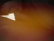 Pinay's Heavenly BlowJob 10/16