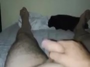 masturbazione pensando alla mia troia 8/16