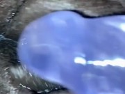 Running out of toys 9/16