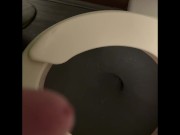 Pissing in the Airplane Bathroom - Dane Coxx 6/16