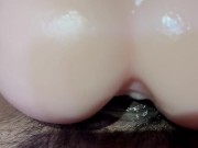 Cogidon con Condon 4/16