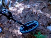 Outdoor Adventure: Spanish Beauty Livia Teen's Forest Encounter 1/16