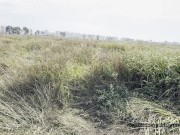 Outdoor piss sex 16/16