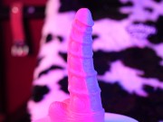 Hankey's Toys XS Series Seahorse Dildo Review 6/16