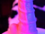 Hankey's Toys XS Series Seahorse Dildo Review 9/16