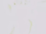 I can take it all Papa 2/16