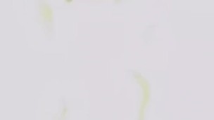 I can take it all Papa