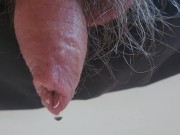 Pissing in the kitchen 15/16