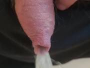 Pissing in the kitchen 8/16