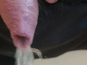 Pissing in the kitchen 9/16