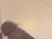 How Big is my Elephant Trunk?? 16/16