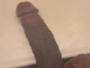 How Big is my Elephant Trunk?? 2/16