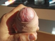 Couldn't Hold Any Longer / My New Roommate Is Too Hot To Resist 12/16