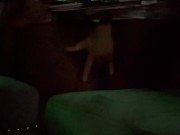 FINGERED MY WET PUSSY ON THE SOFA 3/16