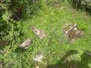 I couldn't resist jerking off during a hike. 10/16