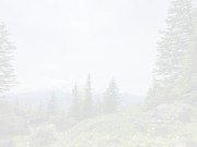 I couldn't resist jerking off during a hike. 6/16