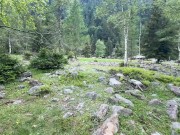 Young guy jerks off next to a river 1/16