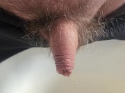 Pissing in the kitchen 11/16