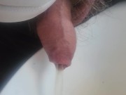 Piss in the kitchen 10/16