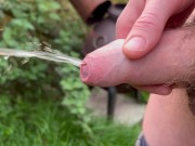 Could not stop peeing this morning 11/16