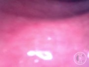 📷 INSIDE ASS POV: The Eggs disappeared in the hole ... 🍑 - Preview 14/16