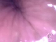 📷 INSIDE ASS POV: The Eggs disappeared in the hole ... 🍑 - Preview 15/16