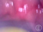 📷 INSIDE ASS POV: The Eggs disappeared in the hole ... 🍑 - Preview 2/16