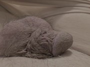 My tiny micro penis has been bad 1/16