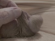 My tiny micro penis has been bad 2/16