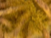 Throat training 8/16