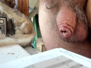 sunday morning soft cock on webcam 11/16