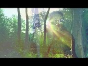 Indian Nostalgy Hidden Forest Witch Feeling 11/16