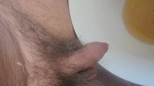 Pissing in the plastic pot