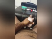 Skeet Skeet (cumshots) 5/16