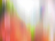 Daddii F**k Me 11/16