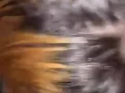 Me encanta la leche 3/16