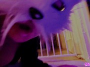 Cumslut Licks Up All The Werewolf Cum Off The Floor... 🤤🤤🤤 11/16