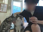 【個人撮影】 プール前に可愛い水着を着た彼女と仰向けフェラチオ♡仰向けおっぱいがエロすぎる彼氏目線の主観映像♡／Japanese amateur hentai 13/16