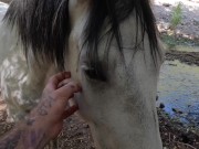 Mommy finds the right position to get her butthole stretched out. 3/16