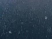 THE BEAUTIFUL SEX ON SUNRISE 5/16