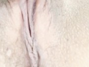 Pulsating pussy 8/16