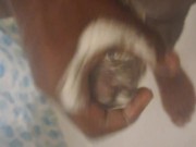 Got horny after shave my bbc 12/16