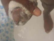 Got horny after shave my bbc 13/16