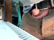 cock peeking through 5/16